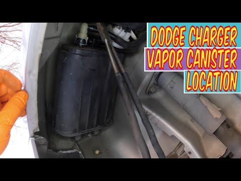 EVAP Vapor Canister Location on 2006-2023 Dodge Charger 🚗