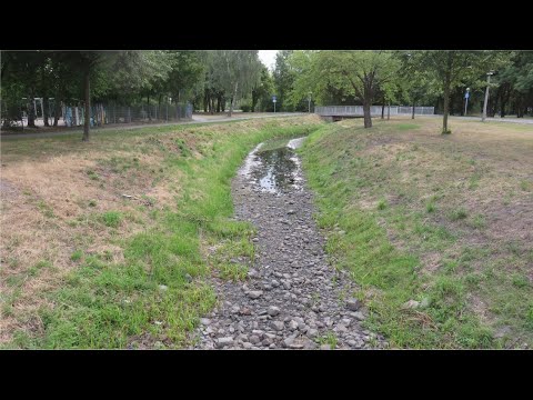 Uchte in Stendal ausgetrocknet - 11.07.2019