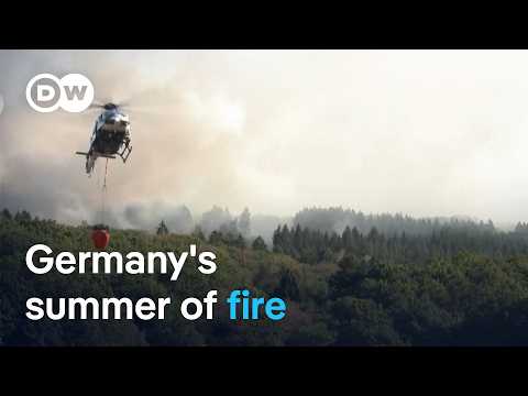 Fighting Germany's wildfires complicated by unexploded WWII munitions | DW News