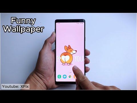 Funny Wallpapers for Your Phone