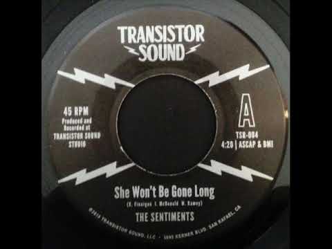 The Sentiments  -  She Won't Be Gone Long