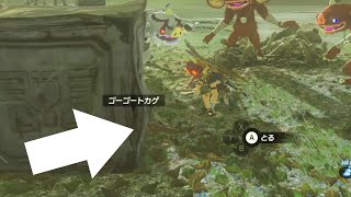 ゴーゴートカゲは逃げられない【ゼルダの伝説ブレスオブザワイルド】