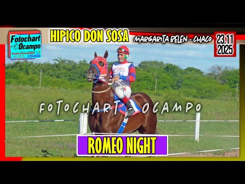 ROMEO NIGHT Margarita Belen CH  23 11 2025