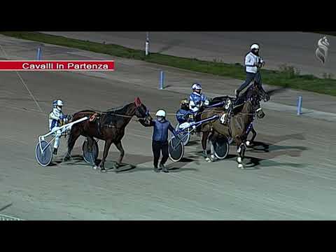 Aversa trotto 22 Gennaio 2022 - 7° Corsa