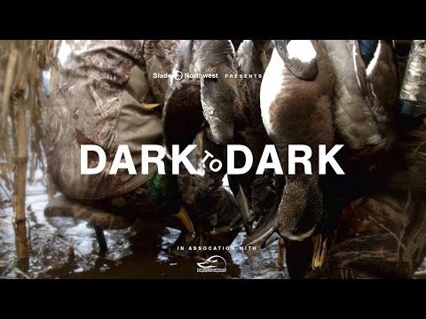 download lagu mp3 mp4 Dark Duck s, download lagu Dark Duck s gratis, unduh video klip Dark Duck s