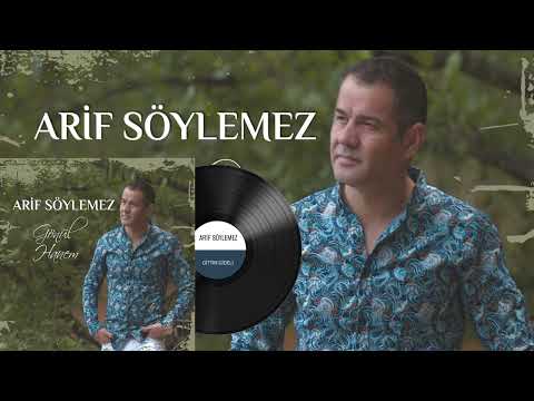 Arif Söylemez - Gittin Gideli (Official Music Audio)