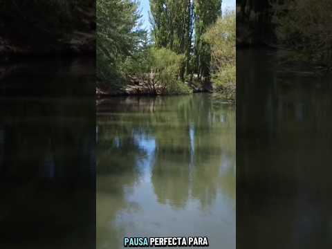🏴󠁧󠁢󠁷󠁬󠁳󠁿 ¡Descubrí la magia de Gaiman, el corazón galés en la Patagonia! #moto #patagonia #argentina
