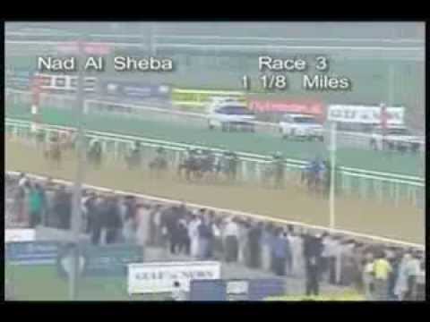 UAE Derby Thoroughbred Horse Race