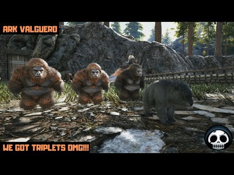 Baby Chunky Monkey! Breeding Up The Gigantopithecus Ark Valguero Part 12