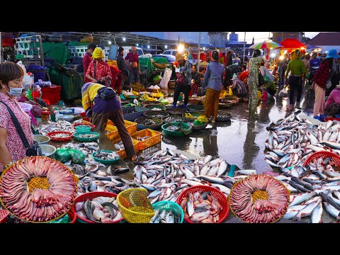 Largest fish distribution site, Cambodian fish distribution in Phnom Penh, Cambodian fish market
