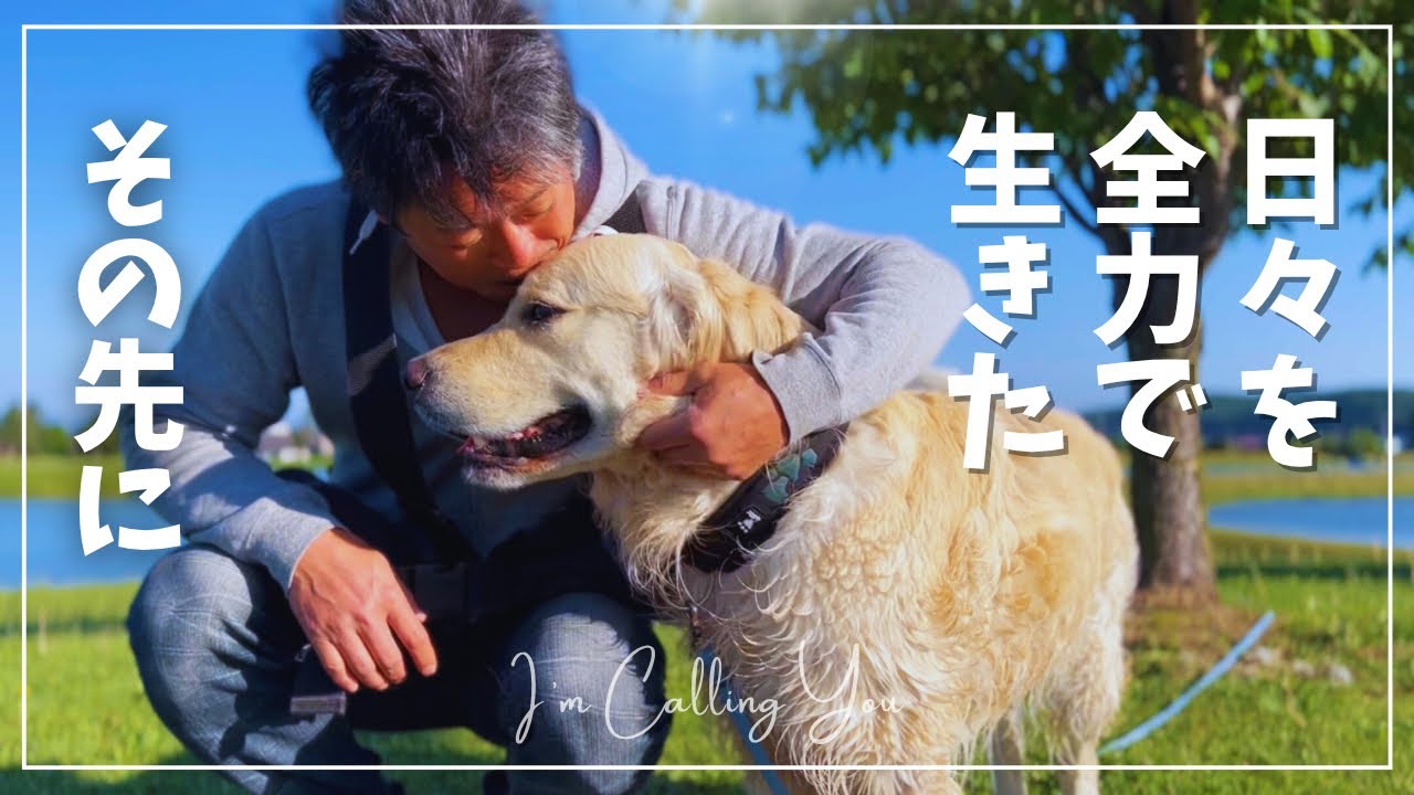 もう君とは信頼関係が切れた｜ゴールデンレトリバーと50代夫婦の北海道暮らし