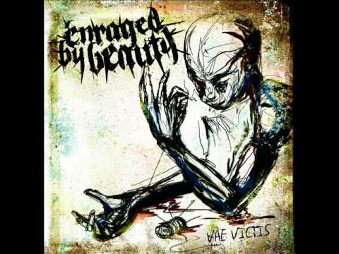 Enraged By Beauty- The Rest Is Silence