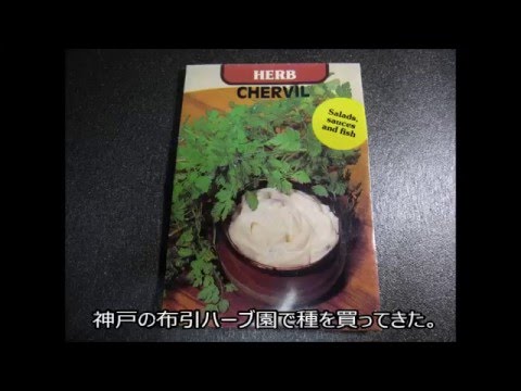 リアルチャービル 植物