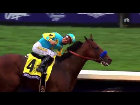 American Pharoah: A Horse of A LIfetime