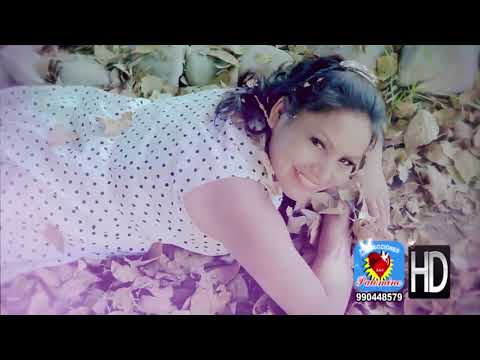 VIRGINIA APAZA PRIMICIA -PARA QUE SIRVE EL AMOR  - PALOMINO PRODUCCIONES S.A.C -  CEL . 989905804