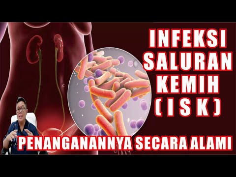 URINARY TRACT INFECTION (UTI): DEFINITION, CAUSES AND TREATMENT WITH HERBAL INGREDIENTS