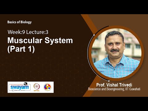 Basics of Biology Intro Video