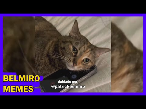 Belmiro Memes: Melhores dublagens engraçadas da semana 41