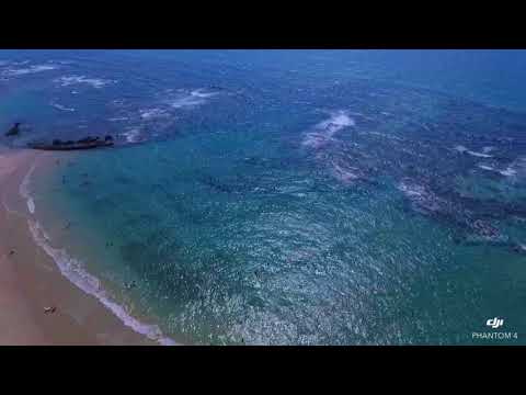 youtube video ijicFXsPe5Y