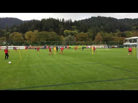 Breisgauer trainieren das Freilaufverhalten