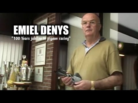 EMIEL DENYS - Bloodlines dominate the world of Long Distance pigeons for years
