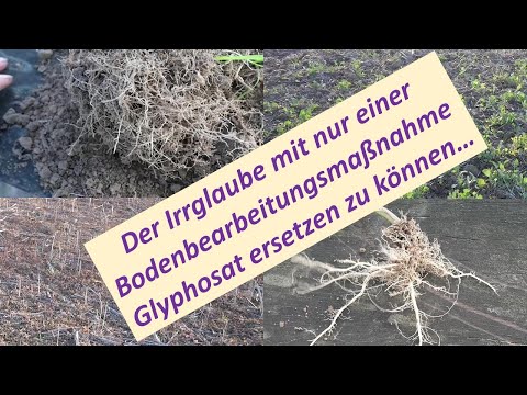 Der Irrglaube Glyphosat durch einen einzigen Bodenbearbeitungsgang ersetzen zu können ...