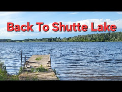 Back To Shutte Lake