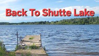 Back To Shutte Lake