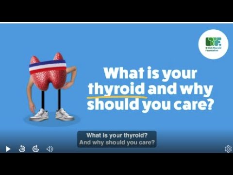 Thyroid Foundation: Unpacking the Complexities of Thyroid Health
