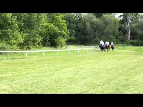 Svenskt Grand National 2011 i Strömsholm - steeplechase