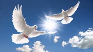 Buenos Dias Weisse Taube