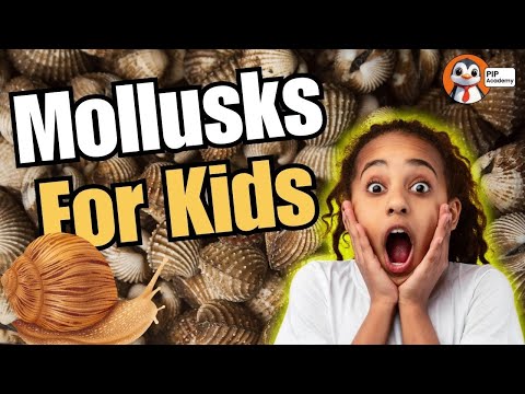 🌊 Mollusks for Kids: Fun Facts About Snails, Clams, & Octopuses