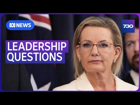 Can Opposition Leader Sussan Ley hold on to her job? | 7.30