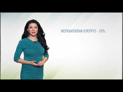 Zelena prognoza, 3.6.2016. - O prisustvu kukuruznog plamenca na području Vojvodine