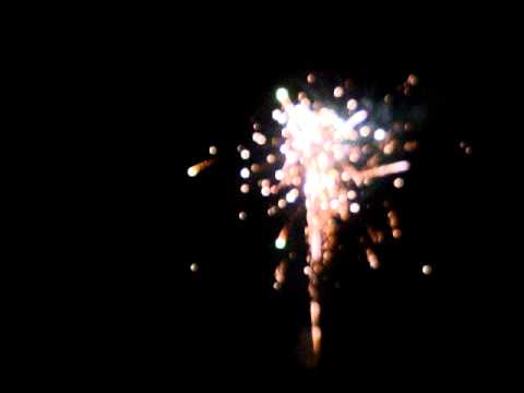 100 shots coco pistil flash chrys. (026).MPG