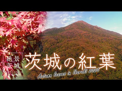 【絶景茨城】茨城の紅葉｜VISIT IBARAKI,JAPAN