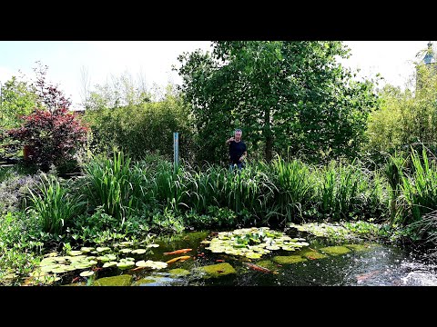 Modern Koi Blog #4692 - A water analysis of Sabine's koi pond