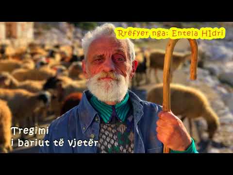 Tregimet e natënemirës (6) - Tregimi i bariut të vjetër