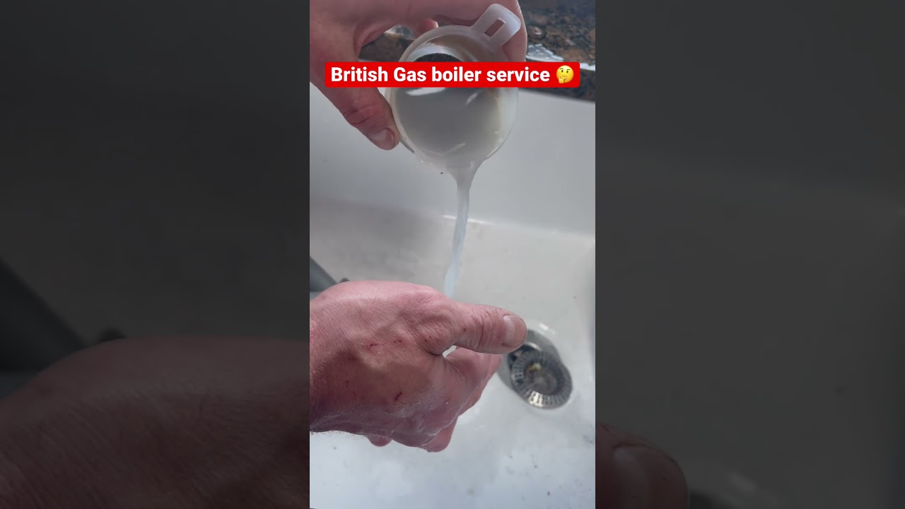 British Gas annual ‘boiler service’ - condensate trap not even cleaned out😱