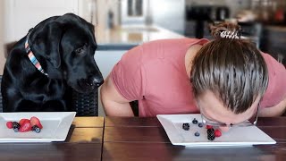 WHO EATS FASTER? My Dog Or Me? Part 2!