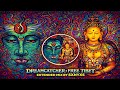 DREAMCATCHER X FREE TIBET EXTENDED MIX Bahramji Maneesh Hilight Tribe Vini Vici Feat SXNYXS