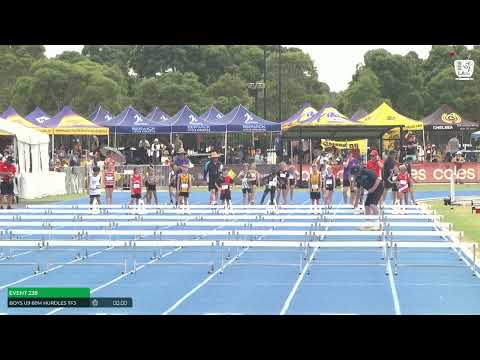 Boys U9 60m Hurdles Timed Final 3 : 2024-25 State Track and Field Championships