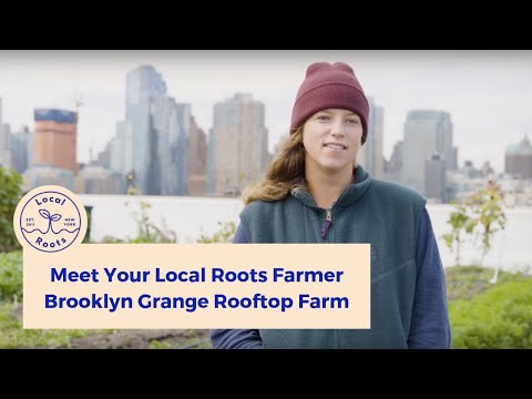 Meet Your Farmer: Brooklyn Grange, the world's largest rooftop urban farm