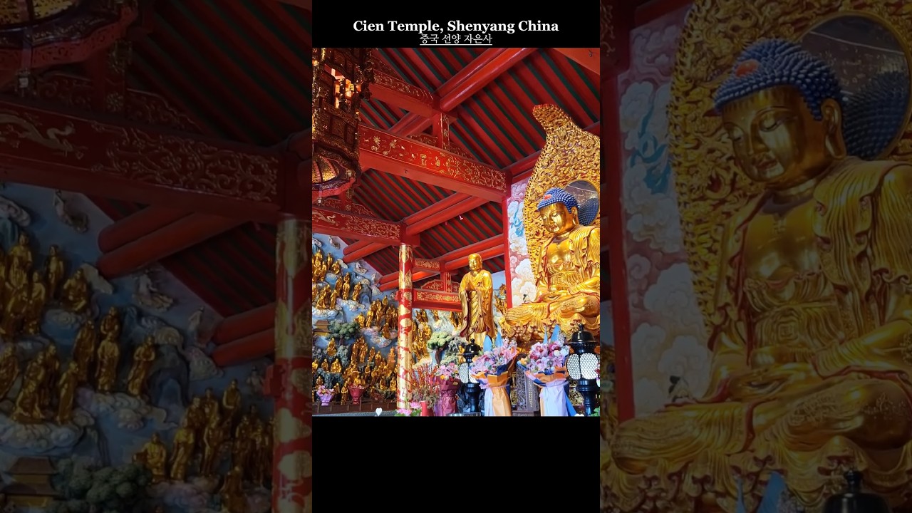 사찰 여행 | 중국 선양 자은사Temple Vlog | Cien Temple, Shenyang#선양 #자은사 #중국여행#Shenyang #CienTemple #ChinaTravel