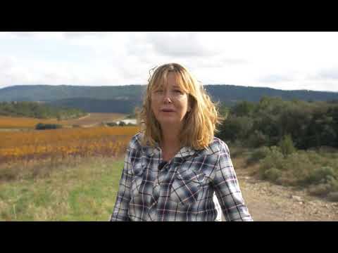 2020 Solas Albariño, Laurent Miquel