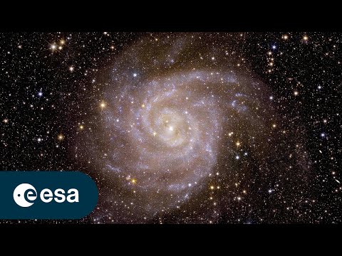 Euclid's first views of the cosmos