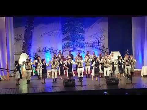 Ansamblul Silvana Deva - Hategana