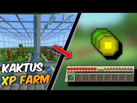 EINFACHE Kaktus/Bambus XP Farm! Minecraft Bedrock 1.21
