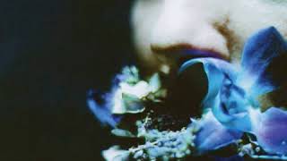 circuit des yeux - falling blonde