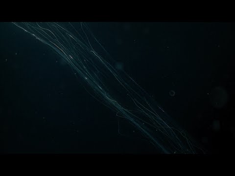 The Connective Tissue